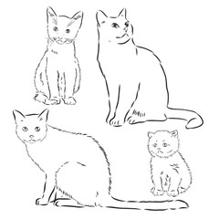 Cats set, vector illustration, hand-drawn cute fluffy cats. domestic cat set vector sketch illustration