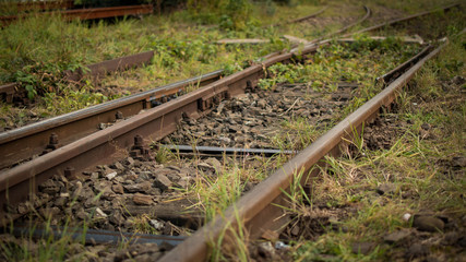 Tory Kolejowe © Mateu_K