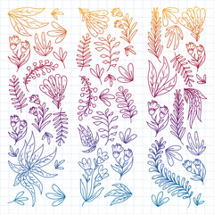 Hand vector drawn floral, leaves elements. Pattern for logo, greeting card, wedding design.