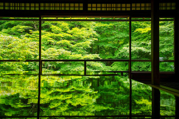 Obraz premium 京都府京都市のお寺「瑠璃光院 春の特別拝観」にて新緑の映り込み