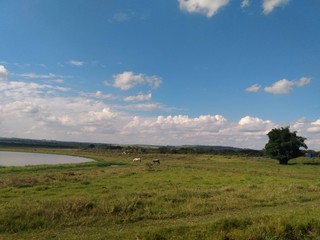 Obraz premium landscape