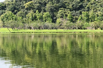 Scenic Reflection View Of Lake By Trees.