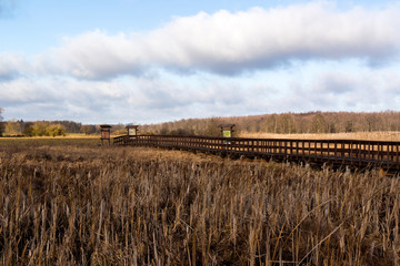 Narwiański Park Narodowy. Rzeka Narew. Szosa Kruszewska, Waniewo, Kurowo, Podlasie, Polska © podlaski49