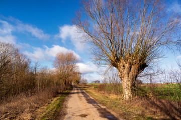 Narwiański Park Narodowy. Rzeka Narew. Szosa Kruszewska, Waniewo, Kurowo, Podlasie, Polska © podlaski49