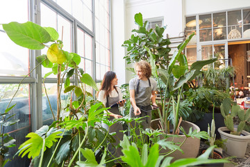 Treibhaus Stock Photos And Royalty Free Images Vectors And Illustrations Adobe Stock