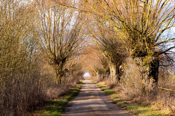 Narwiański Park Narodowy. Rzeka Narew. Szosa Kruszewska, Waniewo, Kurowo, Podlasie, Polska © podlaski49