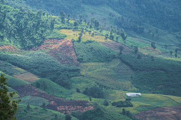 Hill tribe corn plantations and forests during the rainy season in northern Thailand