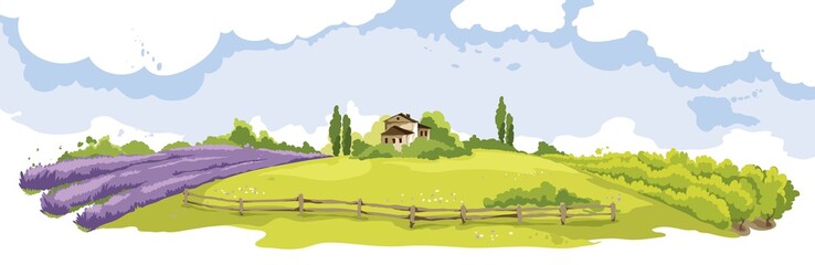 Plakat Abstract landscape -- lavender field and vineyard/ Vector illustration, wheat fields and meadows 