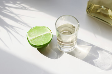tequila and lime in sunny Day. drinks still life