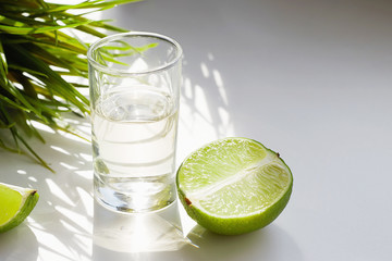 tequila and lime in sunny Lights. drinks still life