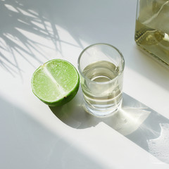 tequila and lime in sunny Lights. drinks still life