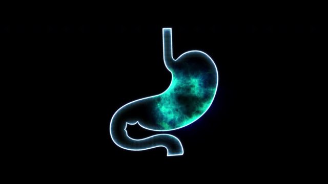 human stomach motion loop