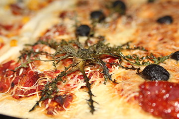 pizza  dandelion