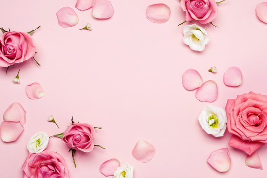 Flower roses frame and petals on pink pastel background. Floral monochrome backdrop for your design