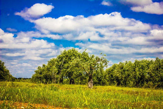 How Many Axles Does a Car Have? The Complete Guide 1 a diagram showing car axle system