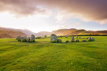 Obraz premium rural landscape with cows