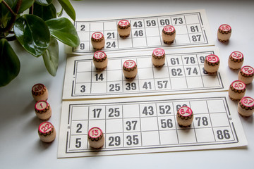 Cards and kegs for Russian lotto (bingo game) on white background. Near the green leaves of a houseplant. Home games. Light photo.