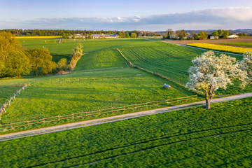 Aerial view of Agriculture fields landscape in Spring