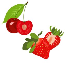 Strawberries and cherries. Vector summer fruit illustration.