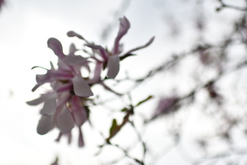 München Sightseeing