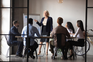 Middle-aged female speaker or presenter talk lead meeting in office make flip chart presentation for colleagues, mature businesswoman present business project on whiteboard to diverse coworker