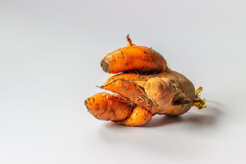 Ugly dirty deformed spoiled organic carrot  on a white background  with copy space. Food waste concept. Horizontal orientation.