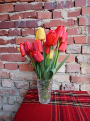 Spring flowers - Dutch tulips in red and yellow