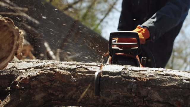 man saws a log with a chainsaw, slow motion