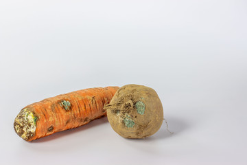 Ugly dirty spoiled organic carrot  and beetroot on a white background  with copy space. Food waste...