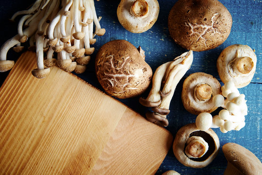 Various mushroom 