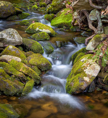 Running white water running around moss-covered rocks at Stokes State Forest, New Jersey