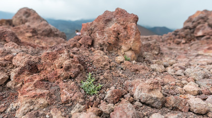 Concept of travel adventure. Sicilia_Etna