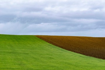 field and sky
