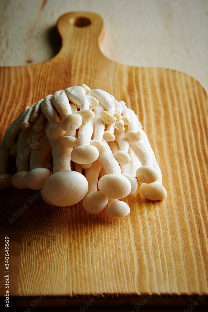 Poster White beech mushroom