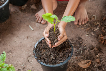 child planting a tree, child planting a tree