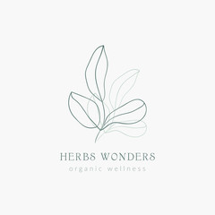 Premade Logo template with line drawing leaves illustraton, trendy earthy hues. Vector Illustration. Logotype for business, Branding, hand drawn