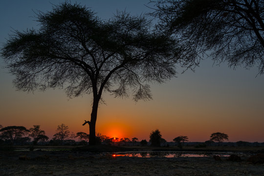 Senyati sunrise © Brent