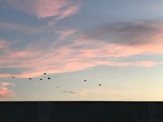 sunset over the sea