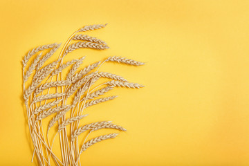 Ears of wheat and grains on yellow colored paper background. Autumn harvest of grain crops. Top view and copy space.