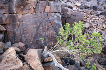 cave paintings in Abourma