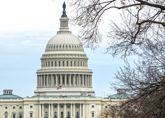 Washington DC - US Capitol building	