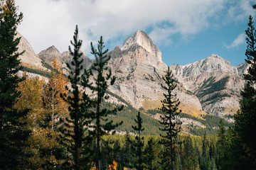 Mountains and Trees in Banff, Canada