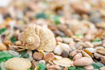 sea stones glass shells solid texture background summer vacation