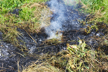 The beginning of a fire in the forest.