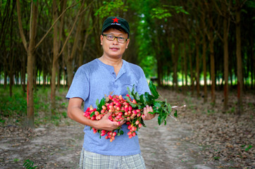 Asian man farmer holding native red fruit in blurred background
