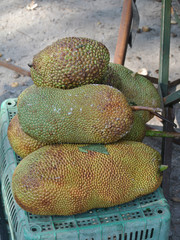 Cempedak is a kind of jack fruit also known scientific name as Artocarpus Integer. 