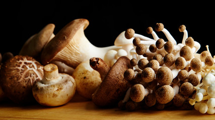 Various mushroom 