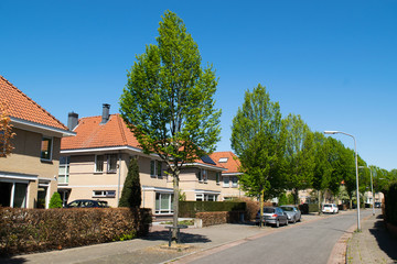 Row of Dutch houses