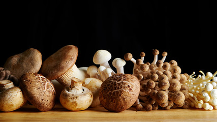 Various mushroom 