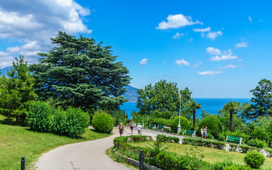 Fototapeta na wymiar Park of the Livadia Palace in Crimea